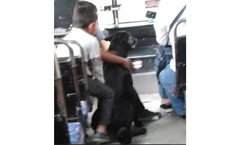 Pequeños con el perrito