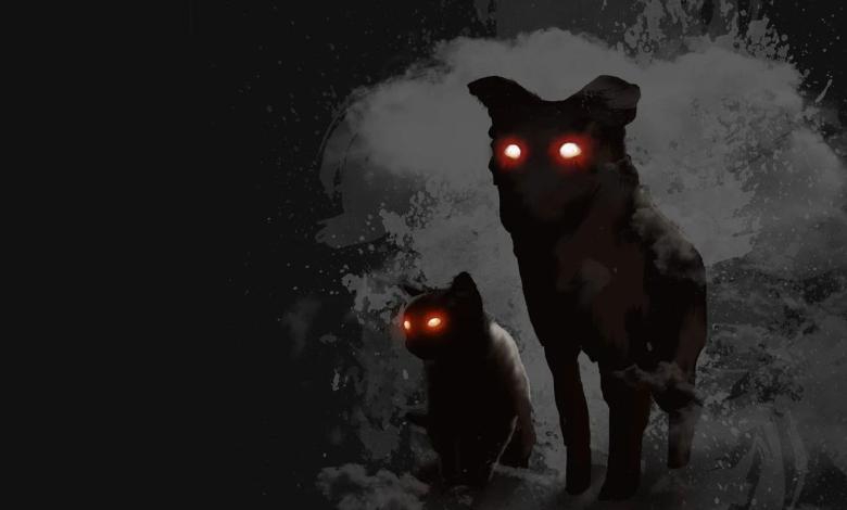 Relatos paranormales: ¿Qué nos quieren decir los perros cuando ladran a medianoche?