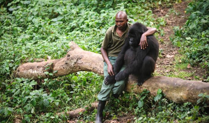 Parque Nacional Virunga