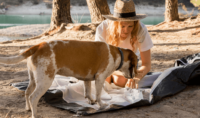 Perro en la playa con su humano