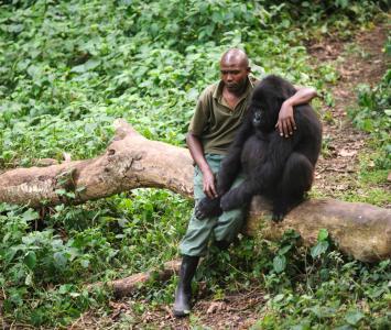 Parque Nacional Virunga