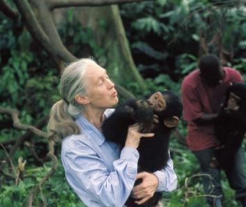 JANE GOODALL 