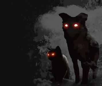 Relatos paranormales: ¿Qué nos quieren decir los perros cuando ladran a medianoche?